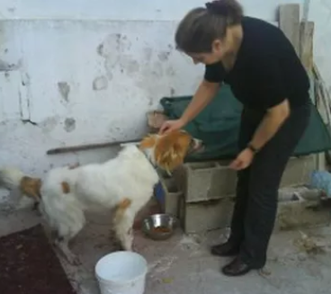 Beethoven - historias - ECQUS