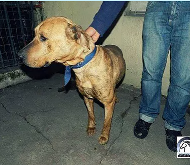 historia de Facu - ECQUS