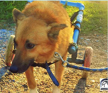 historia de Federico - Ecqus