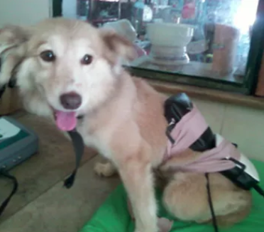 historia de princesa - ECQUS