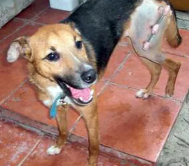 lynda - historia - ECQUS