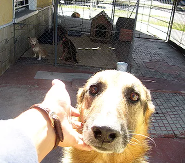 tobi - historias - ECQUS